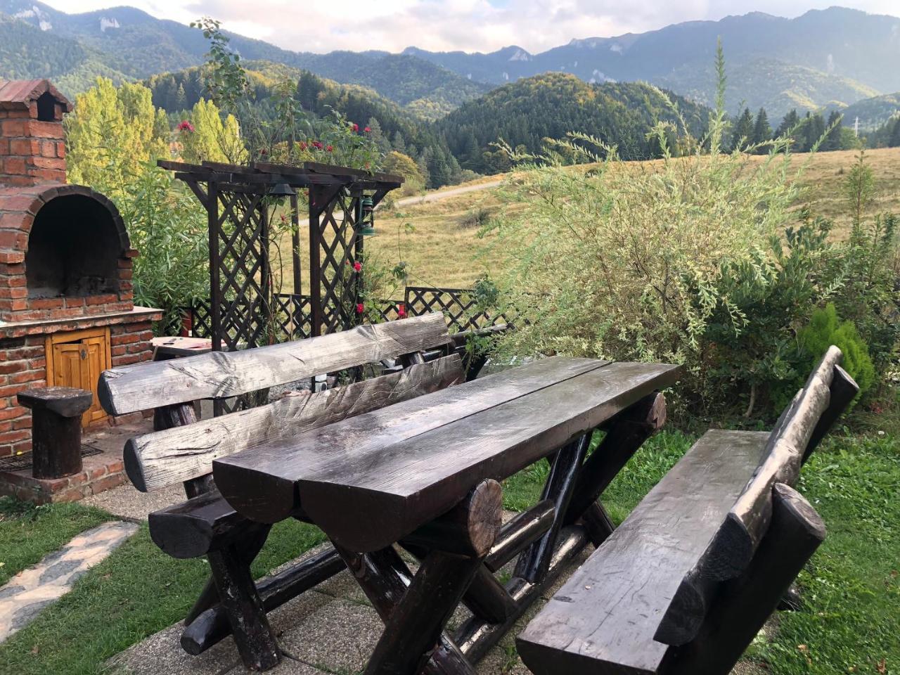 Hot Tub Chalet Retreat Villa Braşov Exteriör bild